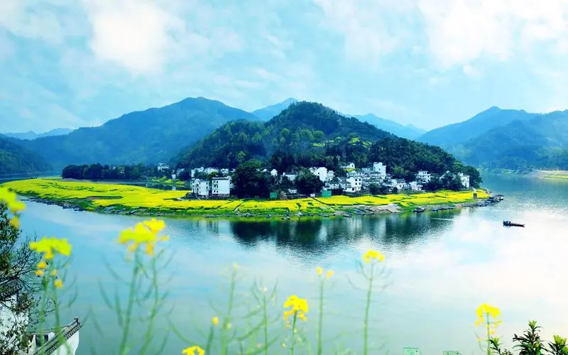 智能智能